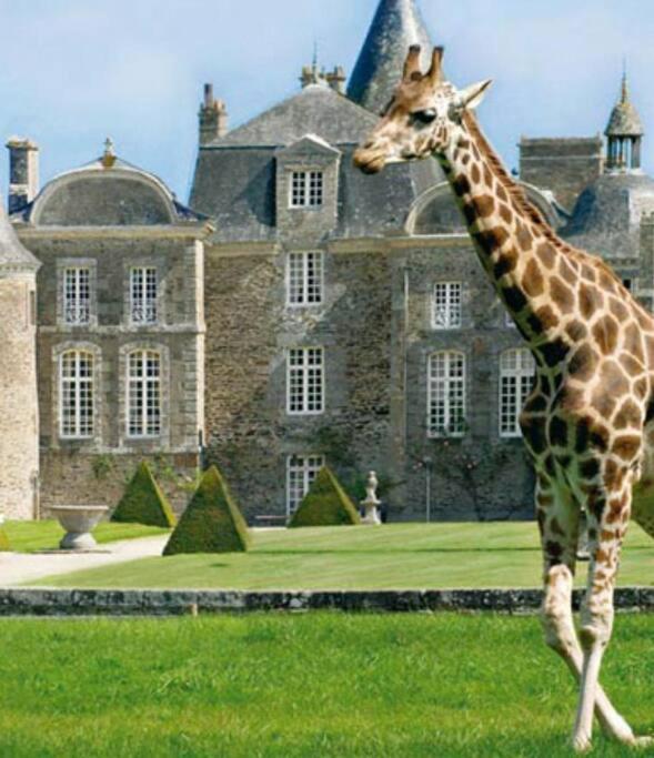 La Baie Du Mont Appartement De Vacances Proche Du Mont Saint Michel 로즈 쉬르 퀴에농 외부 사진